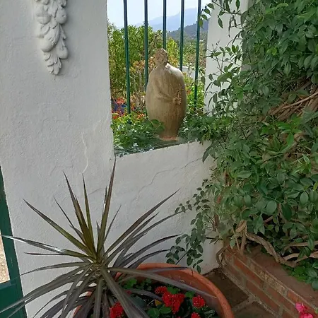 Casa Romana *